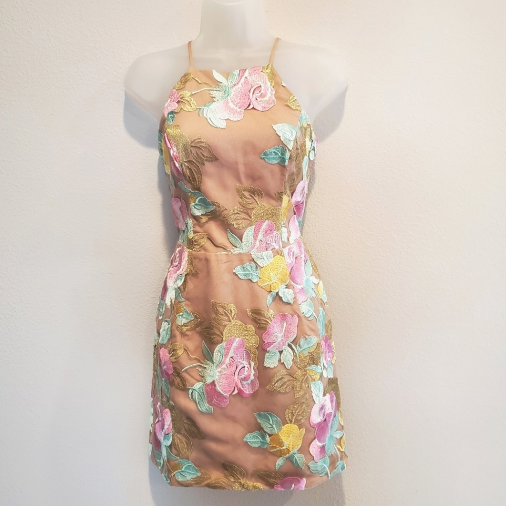 Dress the Population Floral Lace Sheer Nude Pastel Mini Dress